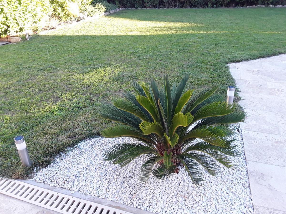 Yofanto Sénas Exterior foto
